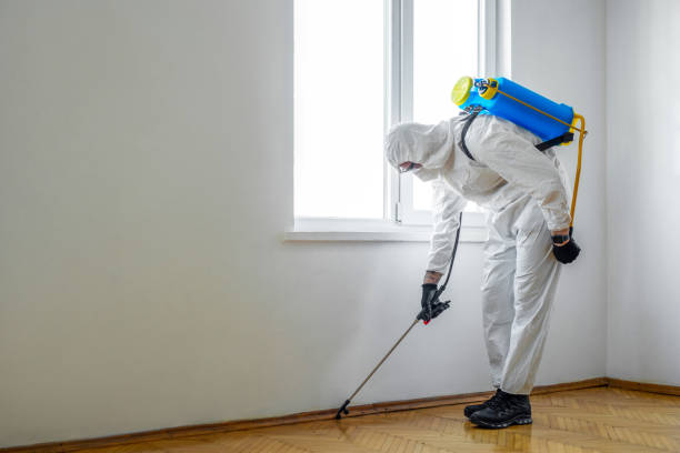 Best Pest Control for Multi-Family Homes  in Wyldwood, TX